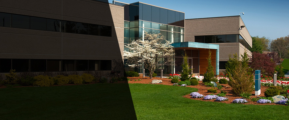 Downers Grove Landscapers