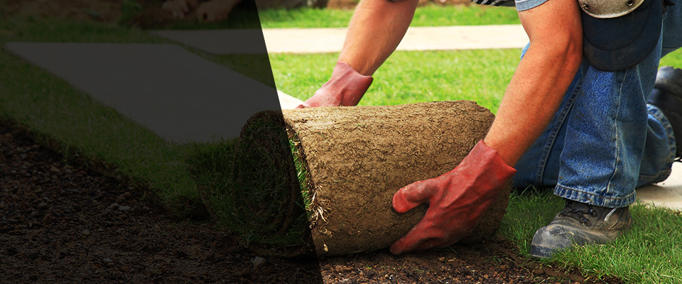 Downers Grove Landscapers